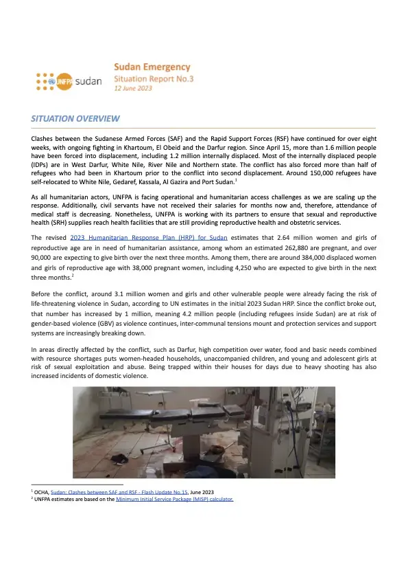 UNFPA Sudan Emergency Situation Report #3